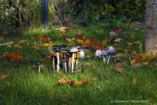 Ludovic VUYE - L.v Drone et Production