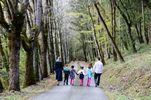 Alexis MESTRE - ALEXIS MESTRE