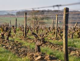 Alexandre LESCURE - ALEXANDRE LESCURE PHOTOGRAPHE