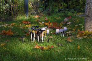 Ludovic VUYE - L.v Drone et Production
